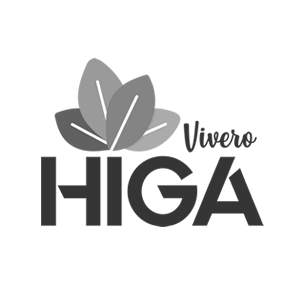 HigaVi